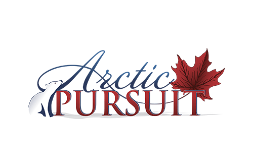 Arctic-pursuit-1